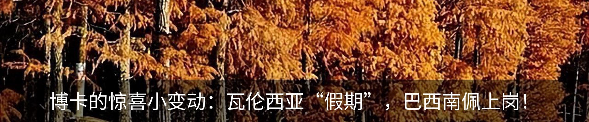 新闻中心
